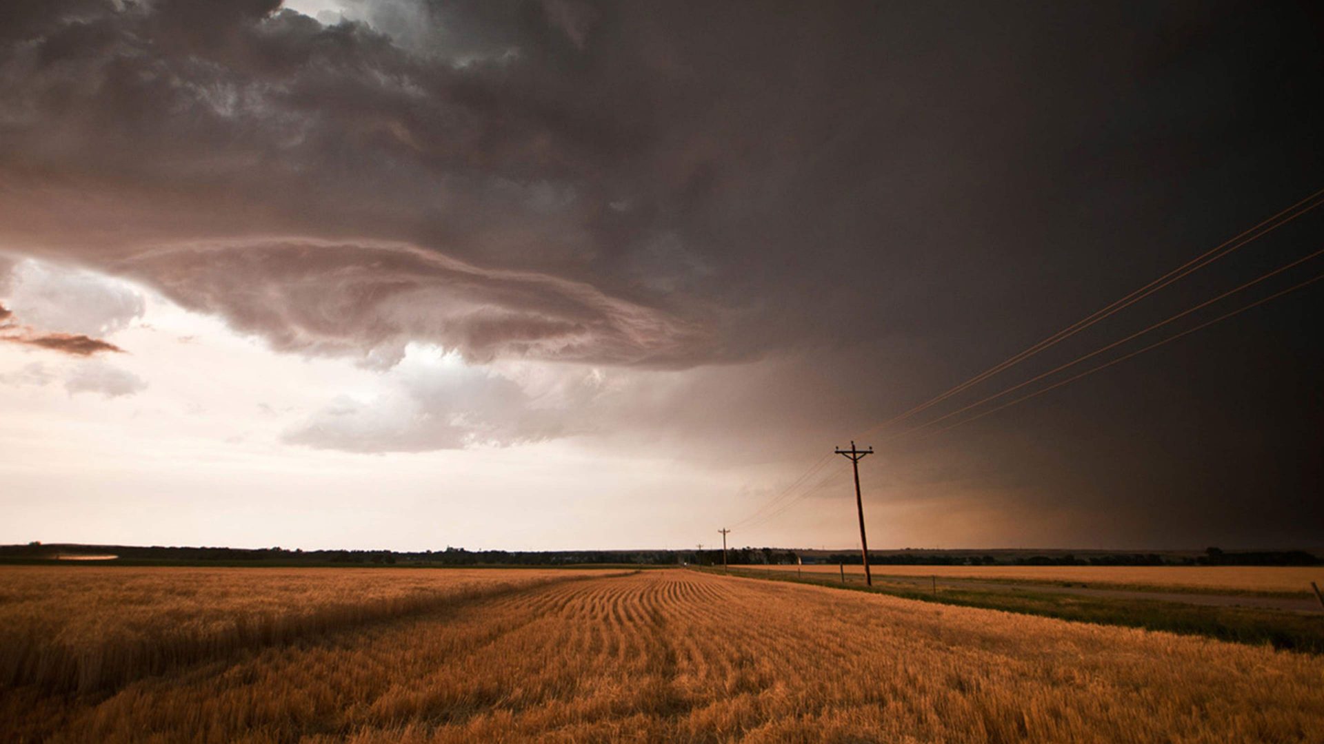 a storm brews over a american corn field